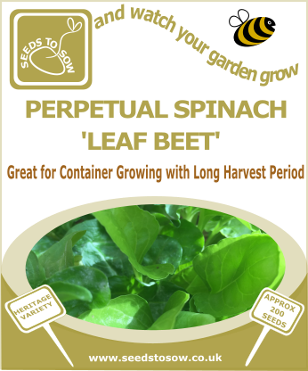 Perpetual Spinach Leaf Beet