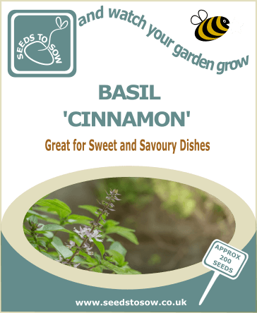 Seeds to Sow Basil Sweet Genovese