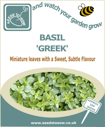 Basil Greek