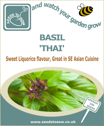 Basil Thai seeds Seeds to Sow