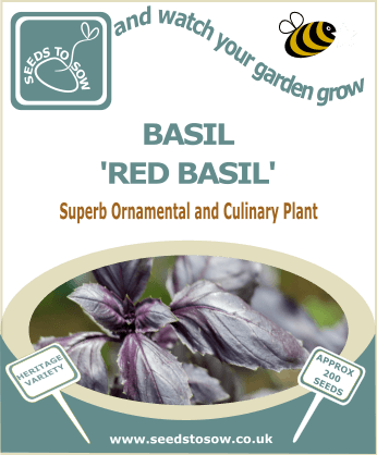 Basil Red Basil