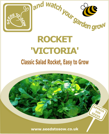 Salad Leaves Rocket 'Victoria'