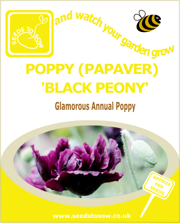 Black poppy seeds