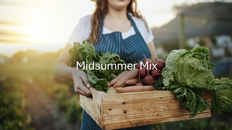 Seed Bundle - Midsummer Mix