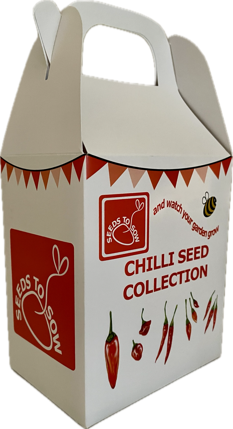 chilli seed gift box