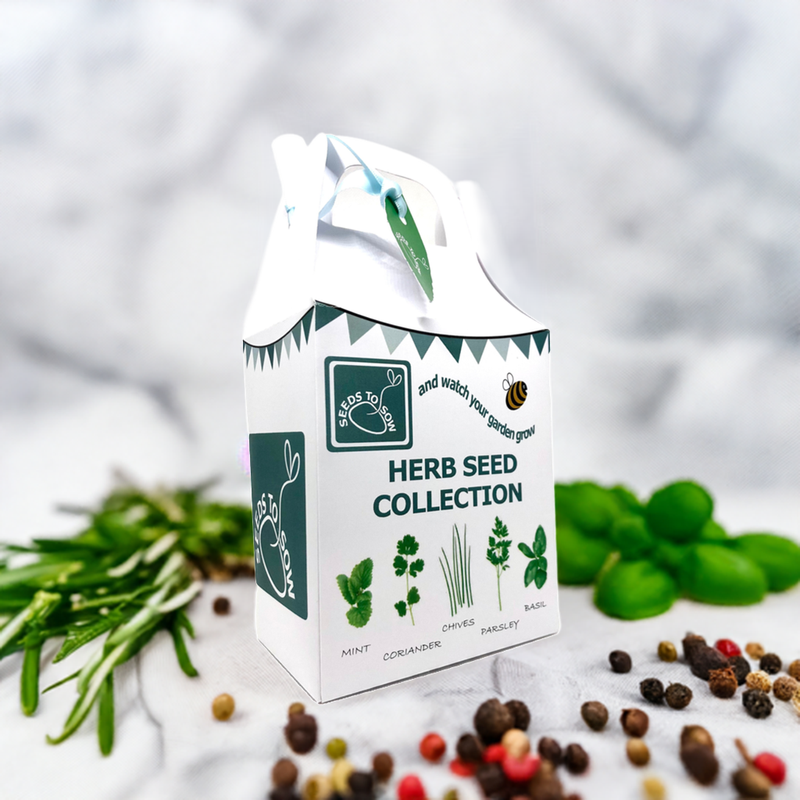 Seed Box - Herb Seed Collection