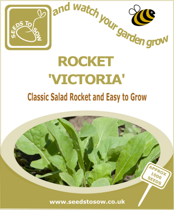 Salad Leaves Rocket 'Victoria' - Seeds to Sow Limited